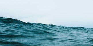 Live Against the Drift: Refocusing the Distracted Soul