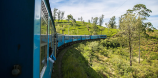 MORE THAN A “MASTERPIECE” Train in light