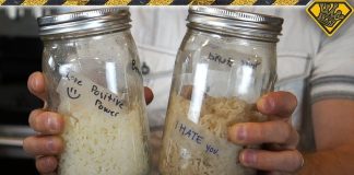 Unleashing the Power of Words: A Journey through Grant Thompson’s Science Experiment