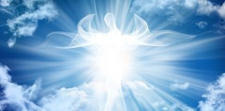 THE GLORY OF THE WORD