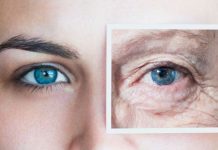 Your Body’s Cells Could Age Years in a Single Day, Challenging Past Research