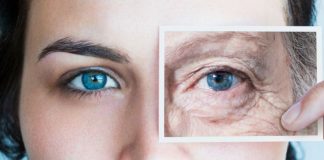 Your Body’s Cells Could Age Years in a Single Day, Challenging Past Research