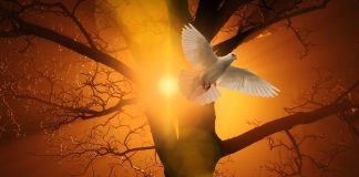 SPEAKING MYSTERIES IN THE SPIRIT